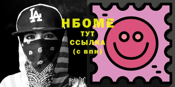 гидра Богородск