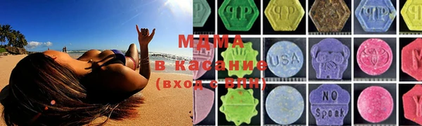 стаф Богданович