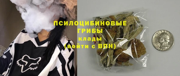 стаф Богданович