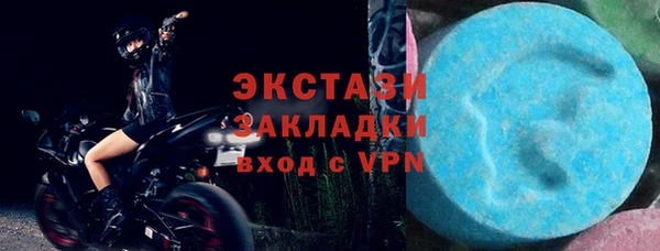 стаф Богданович