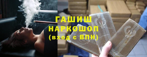 гидра Богородск