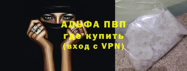 гидра Богородск