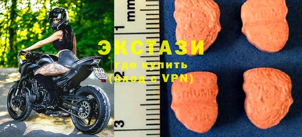 гидра Богородск