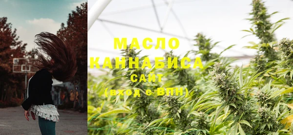 стаф Богданович