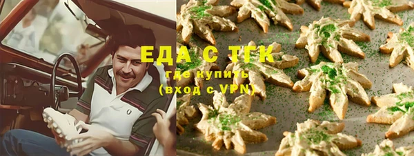 стаф Богданович