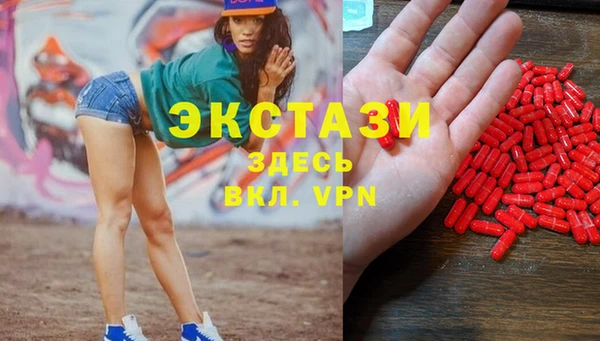 стаф Богданович