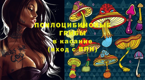 гидра Богородск