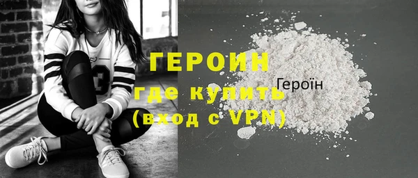 гидра Богородск