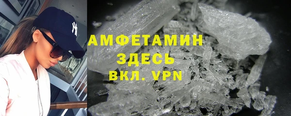 стаф Богданович
