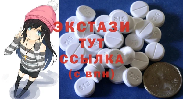 гидра Богородск