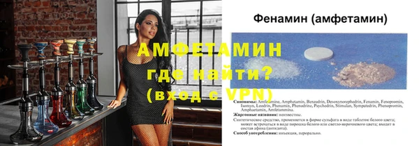стаф Богданович