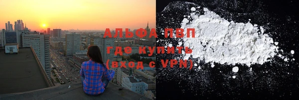 стаф Богданович