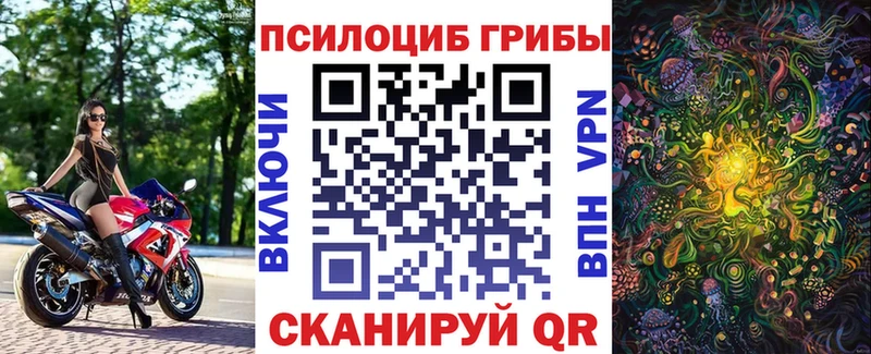 darknet телеграм  Реутов  Галлюциногенные грибы ЛСД 